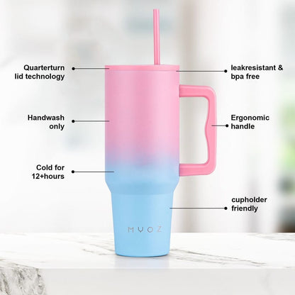 Premium 1.2L Stainless Steel Insulated Tumbler with Handle & Straw